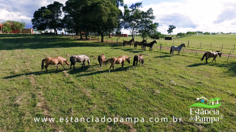 TREM TOP SORGO.00_00_20_26.Quadro008_fb9ff97dce5028db08e00a6f0505951b78d20768.png